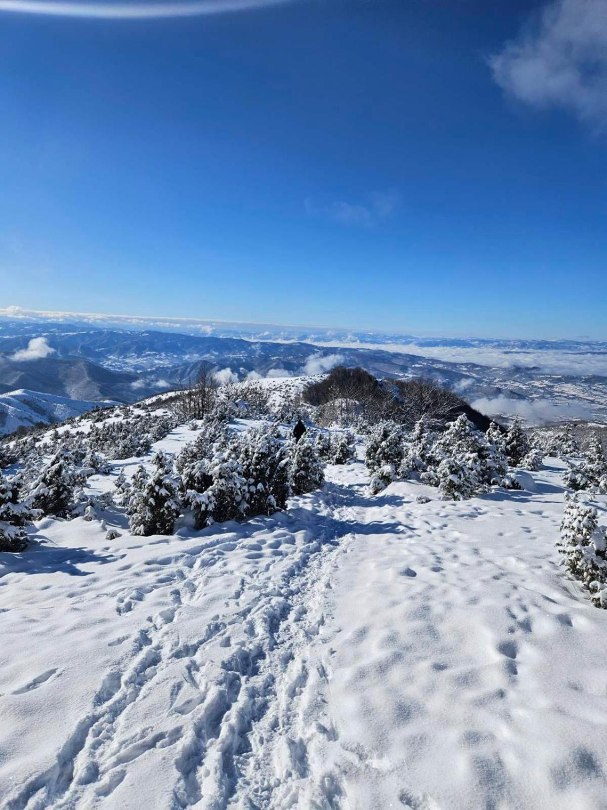 Apartmani Kraljevi Cardaci Kopaonik Dış mekan fotoğraf